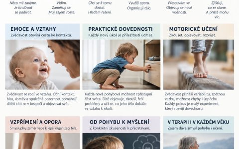 Zvědavost – motor vývoje Zvědavost – motor vývoje
